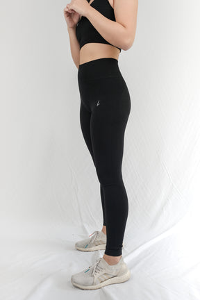 Delectable High Waist Legging